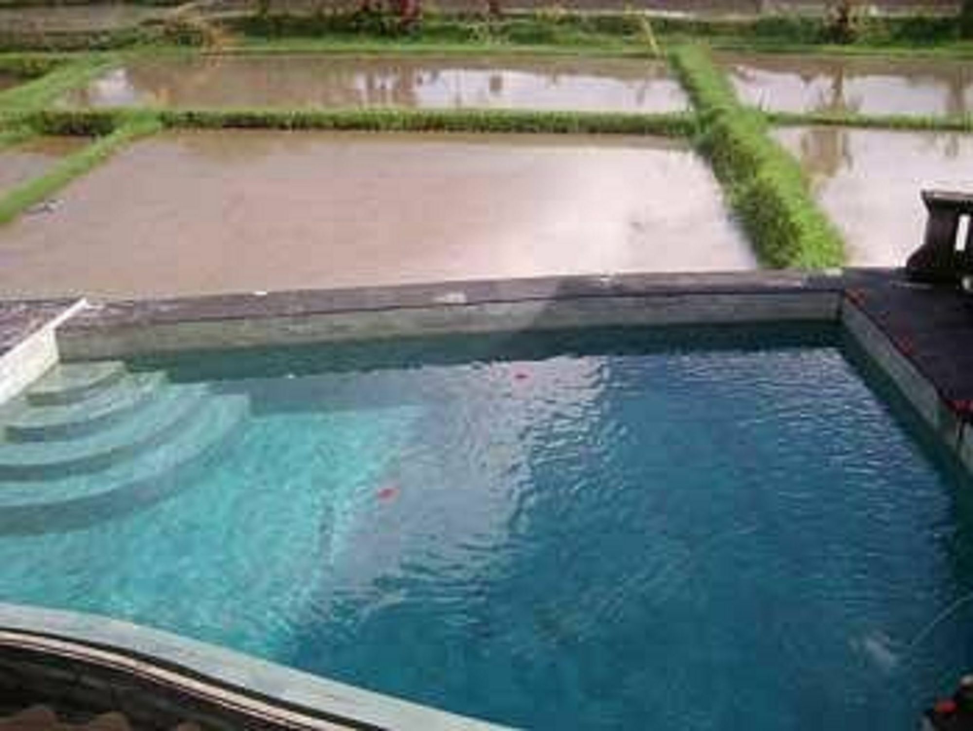 Ala'S Green Lagoon Ubud Eksteriør billede