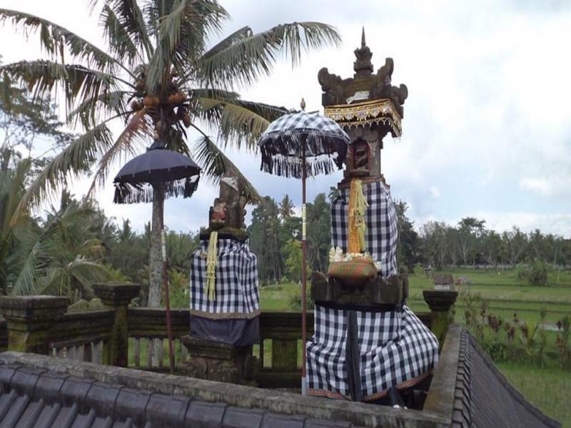 Ala'S Green Lagoon Ubud Eksteriør billede