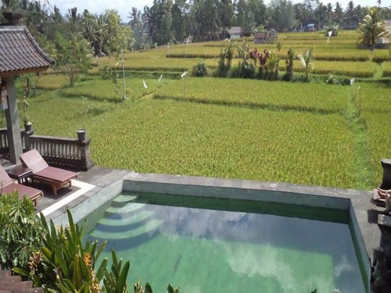 Ala'S Green Lagoon Ubud Eksteriør billede